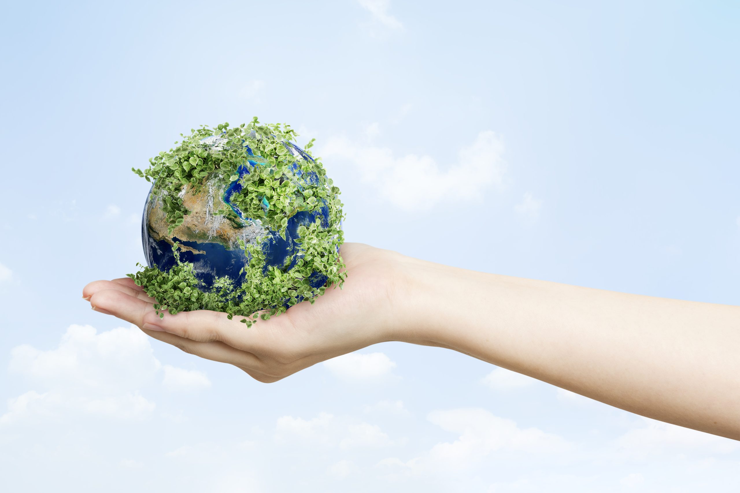 How Global Companies Use the Digital Product Passport