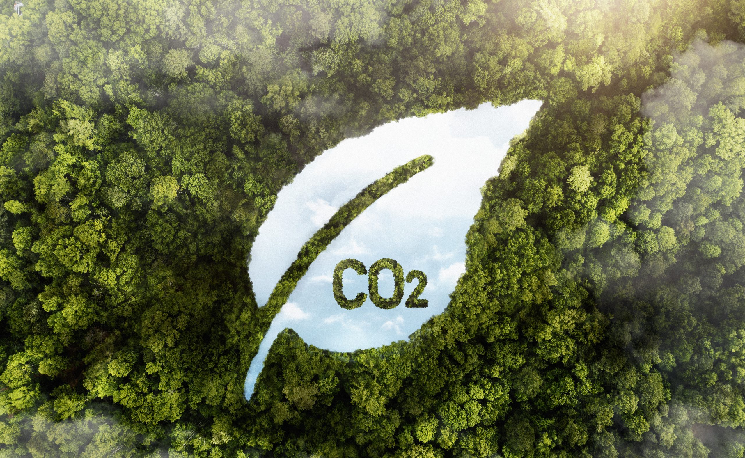 How the Digital Product Passport Helps Prevent Greenwashing